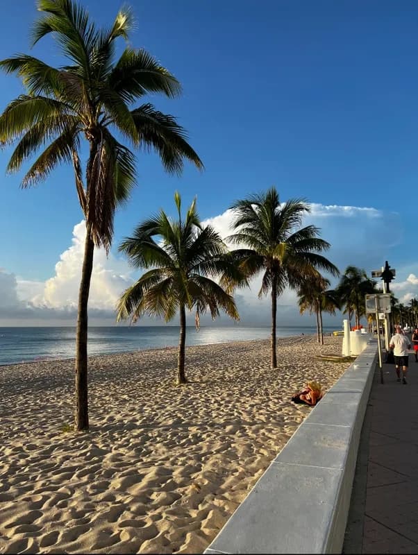 Relaxing Beach Tours in Fort Lauderdale, Florida