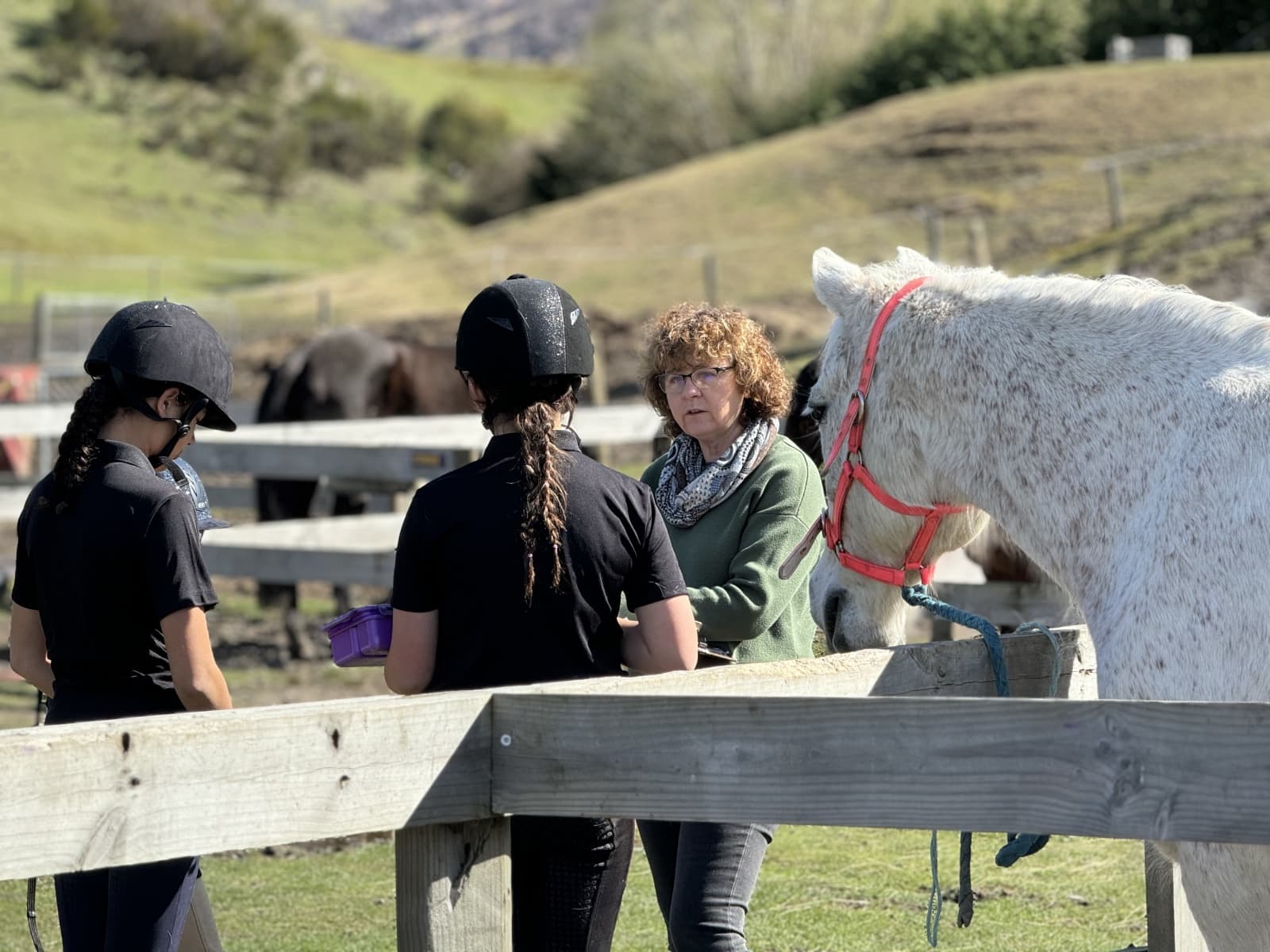 Pass the AME D Exam at Shotover Equestrian — Queenstown Riding Exam Prep photo 1