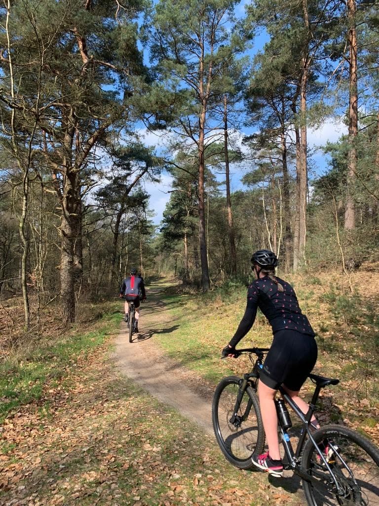 Mountain Biking Rental in Veluwe by TeeDeeJee
