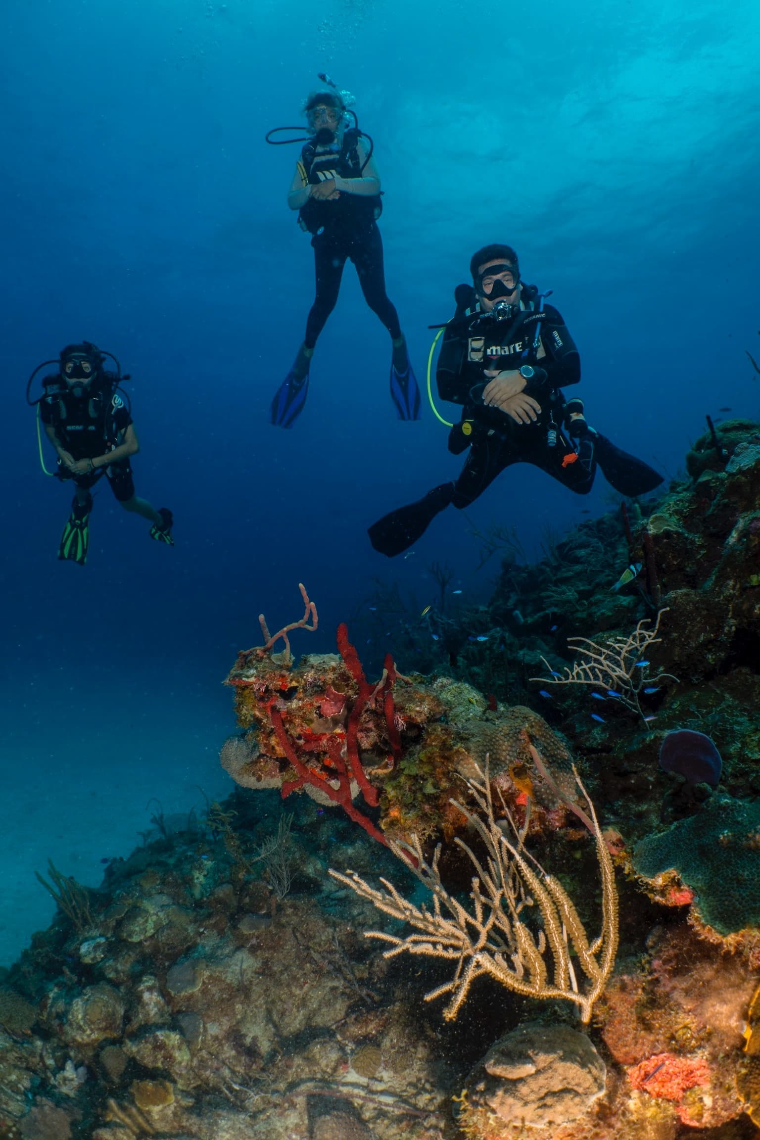 Vieques 2 Tank Dive Trip in Fajardo, Puerto Rico