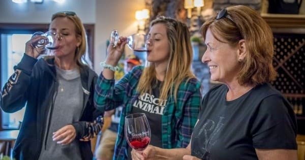 Wine Tasting & Waterfall Views Near Seattle