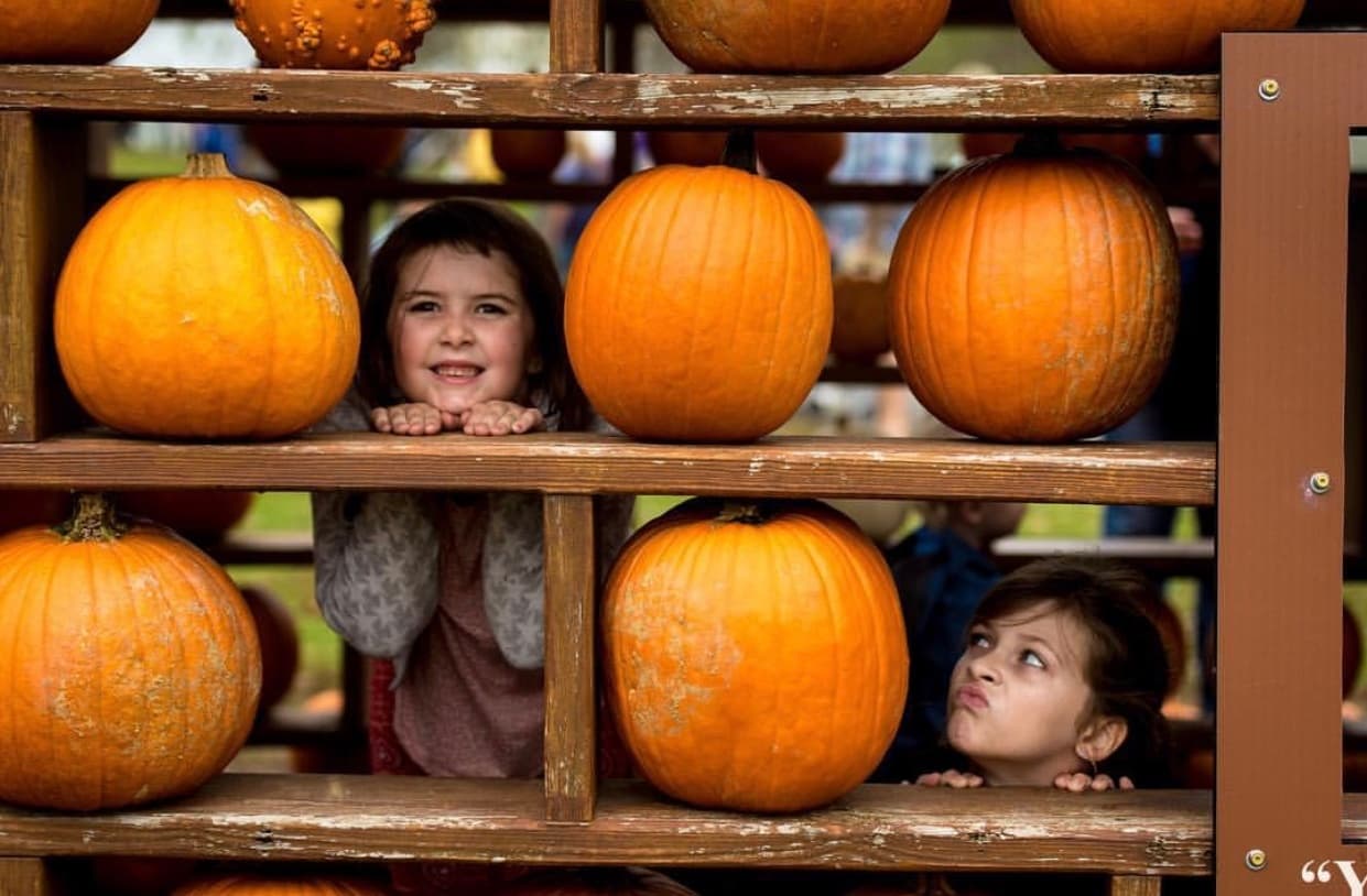 Children peeking through pumpkin display at orchard pumpkin patch