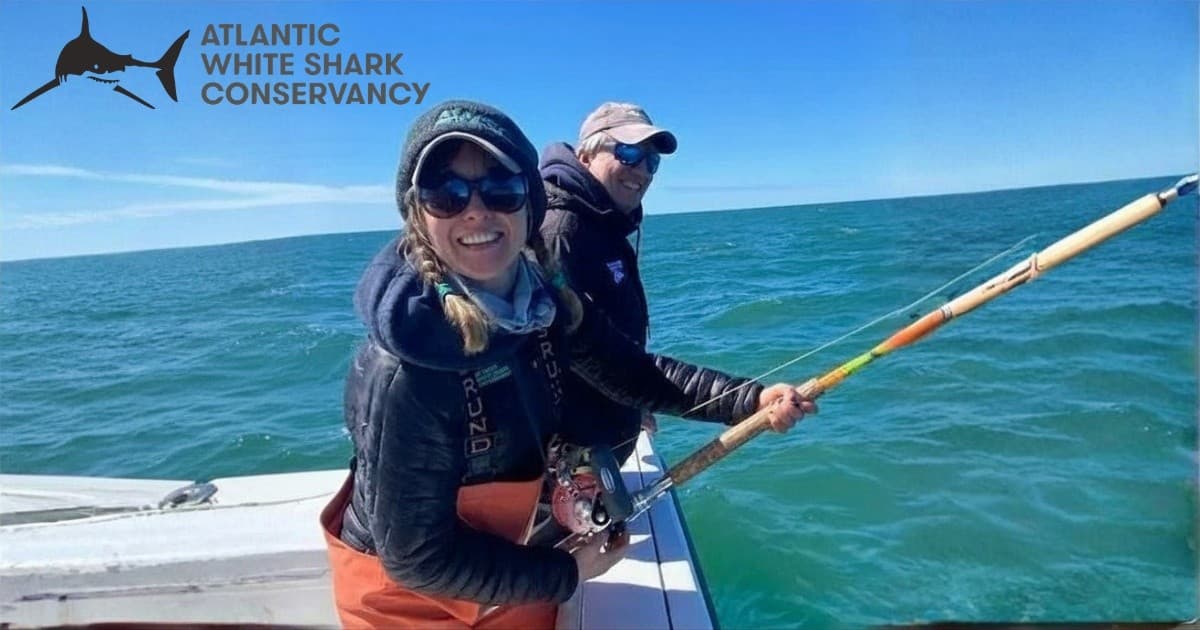 Face-to-Fin: Inside the AWSC Great White Shark Research Talk at Fripp Island photo 1