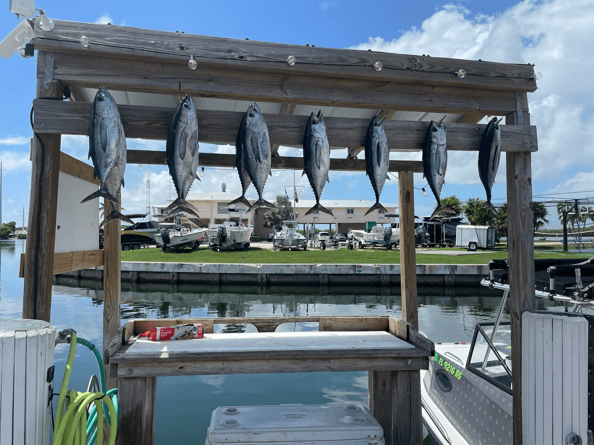 Snap Em Up Fishing Charters LLC in Islamorada: Half-Day Fishing Adventure