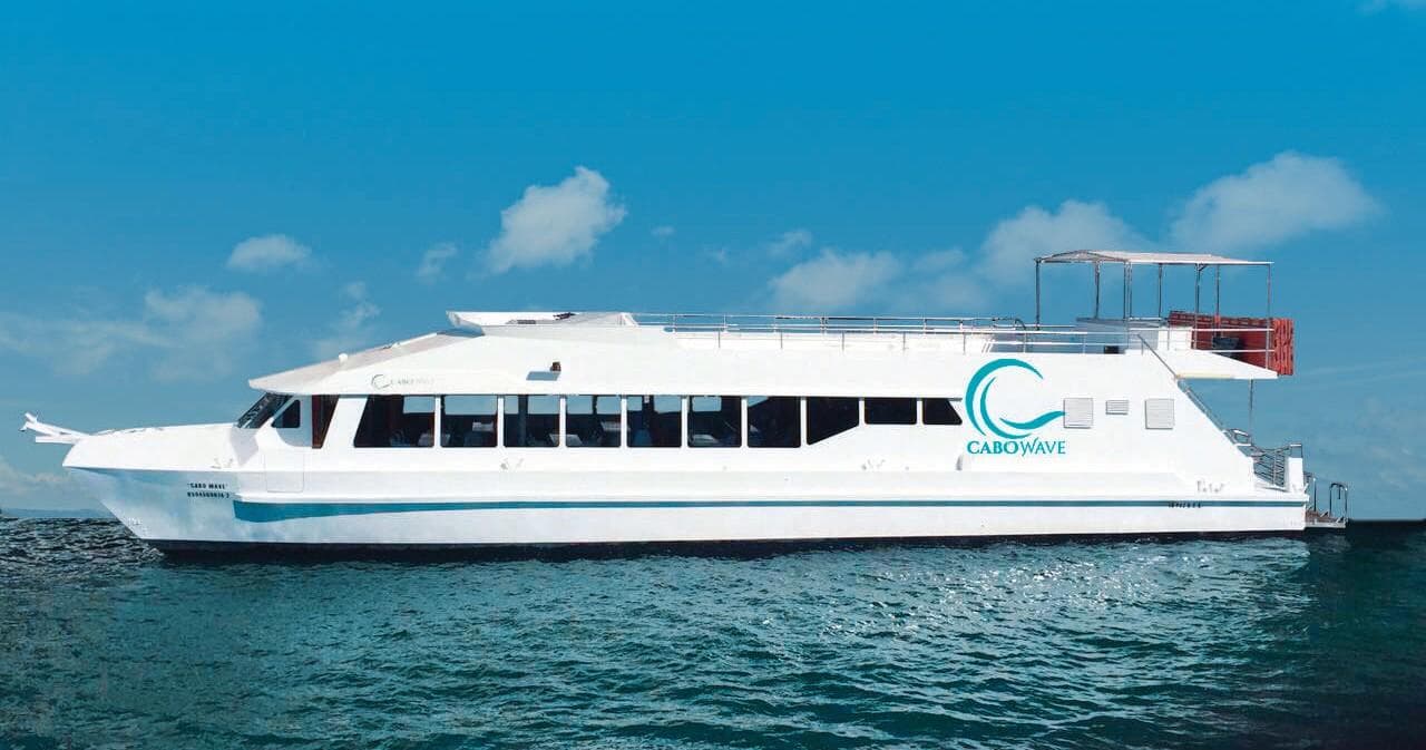 Water Activities & Wild Cabo Tours: Snorkeling in Chileno Bay