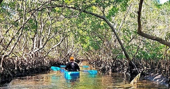 Tandem Kayak Rental by Downstream Kayak Rentals in Largo