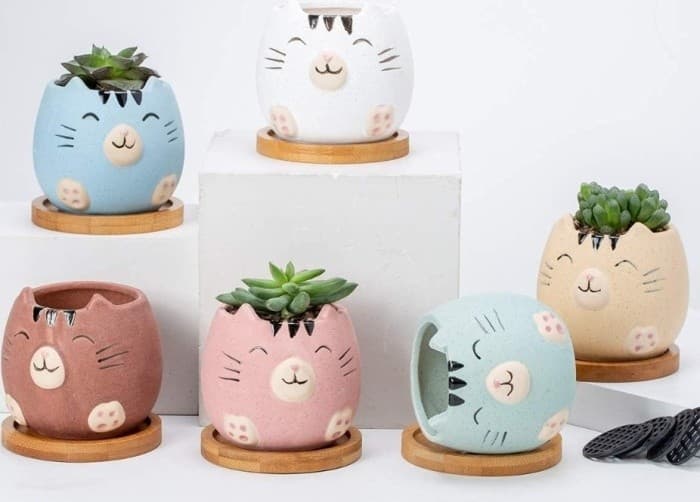 Paws and Plants: Cat Café Planter Workshop in Fishers, IN