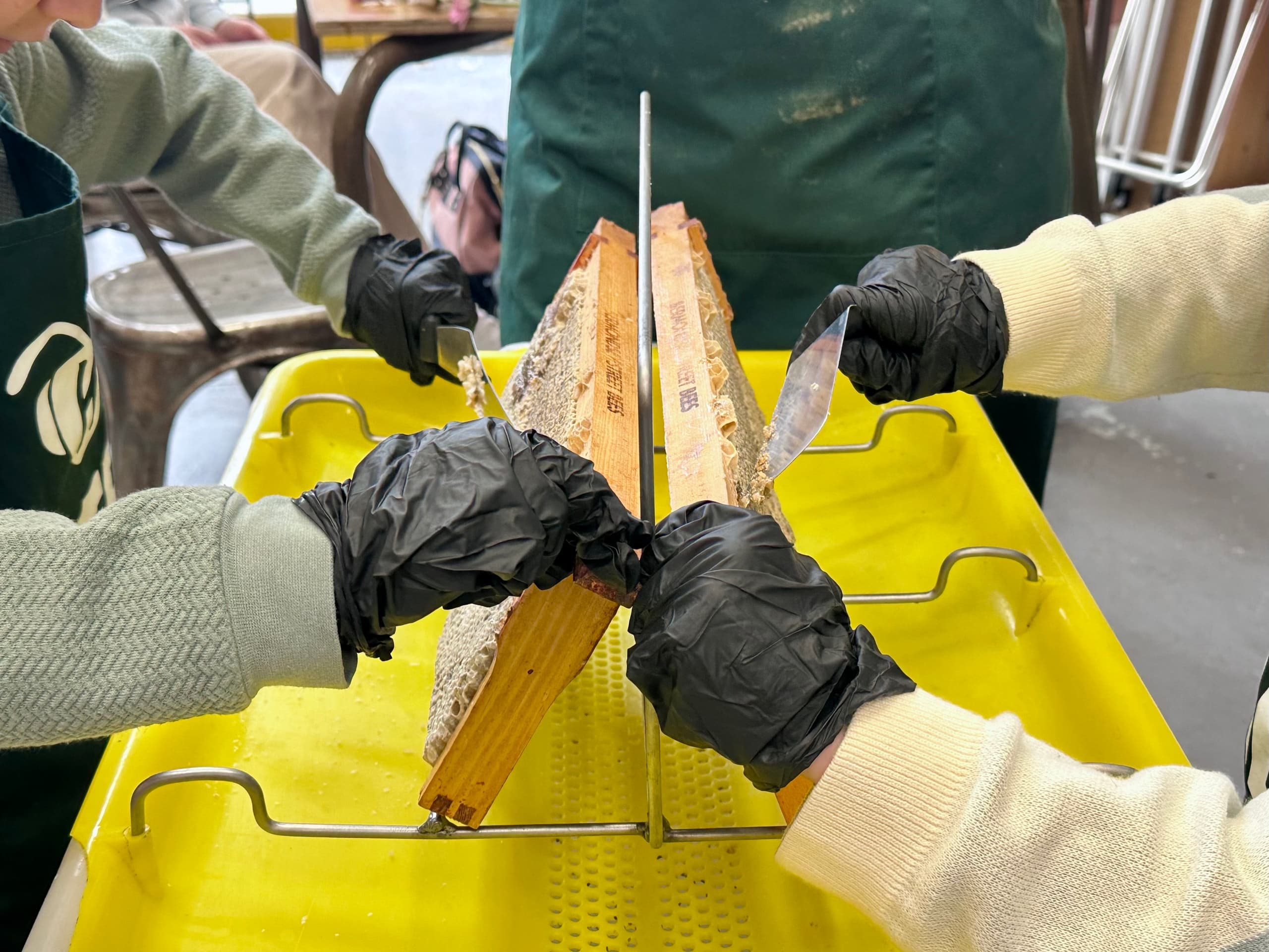 School Holiday Honey Harvest Workshop: Hands-On Beekeeping for Kids Near London Bridge photo 1