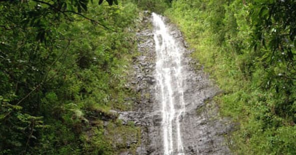 Hawaiian Natural Wonders with Kaimana Tours in Honolulu