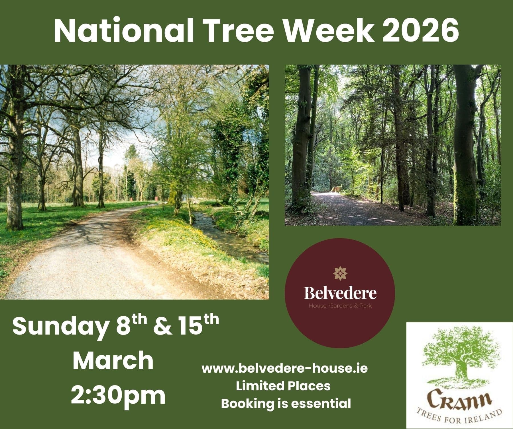 Inside National Tree Week: Guided Woodland Walks at Belvedere House, Mullingar