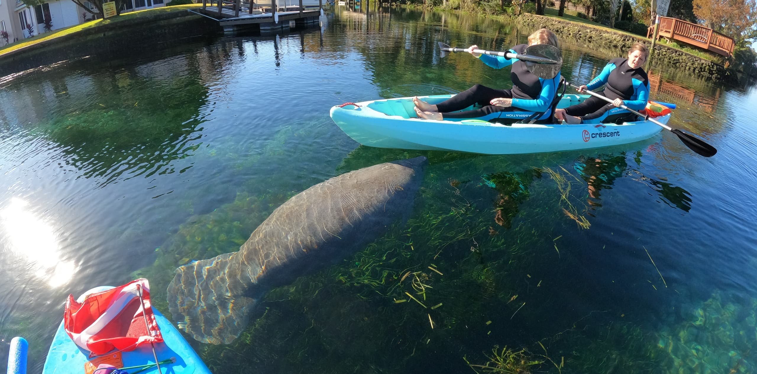 Explore Crystal River with a 2 Hour Kayak Rental