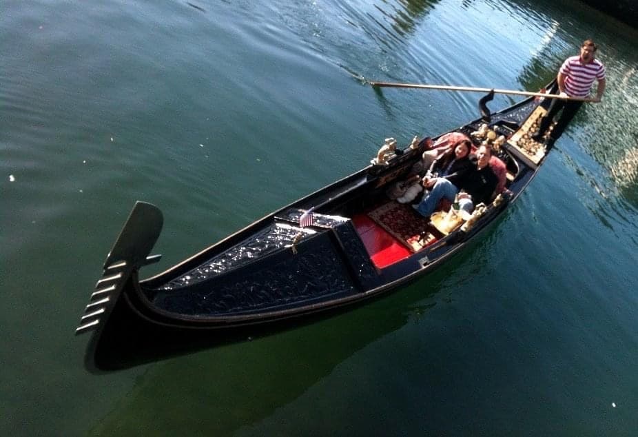 Central Coast Gondola fleet