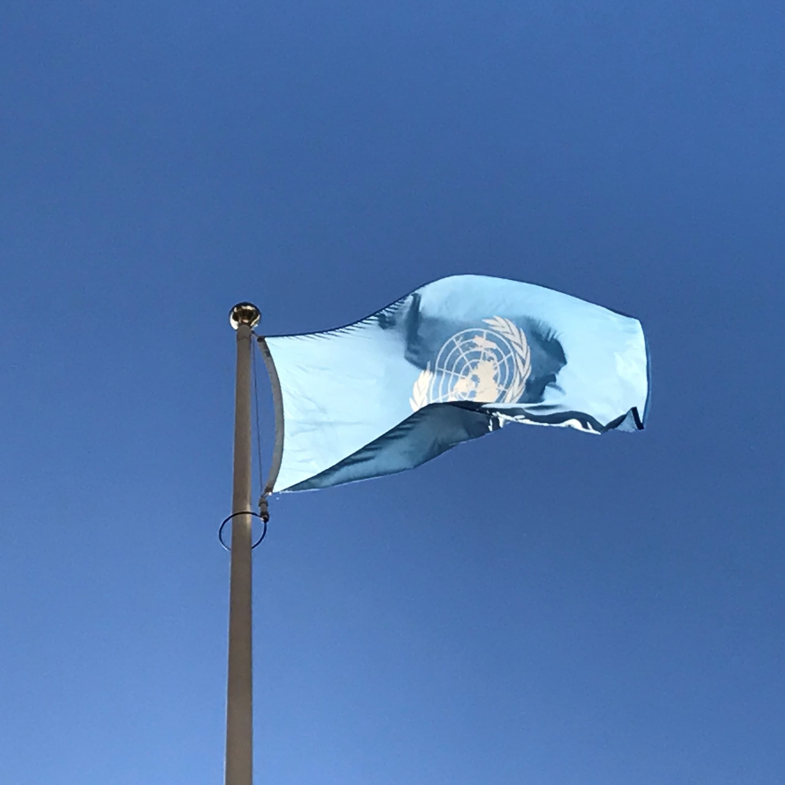 Inside the United Nations Vienna: A Private Guided Tour of Global Peace and Diplomacy
