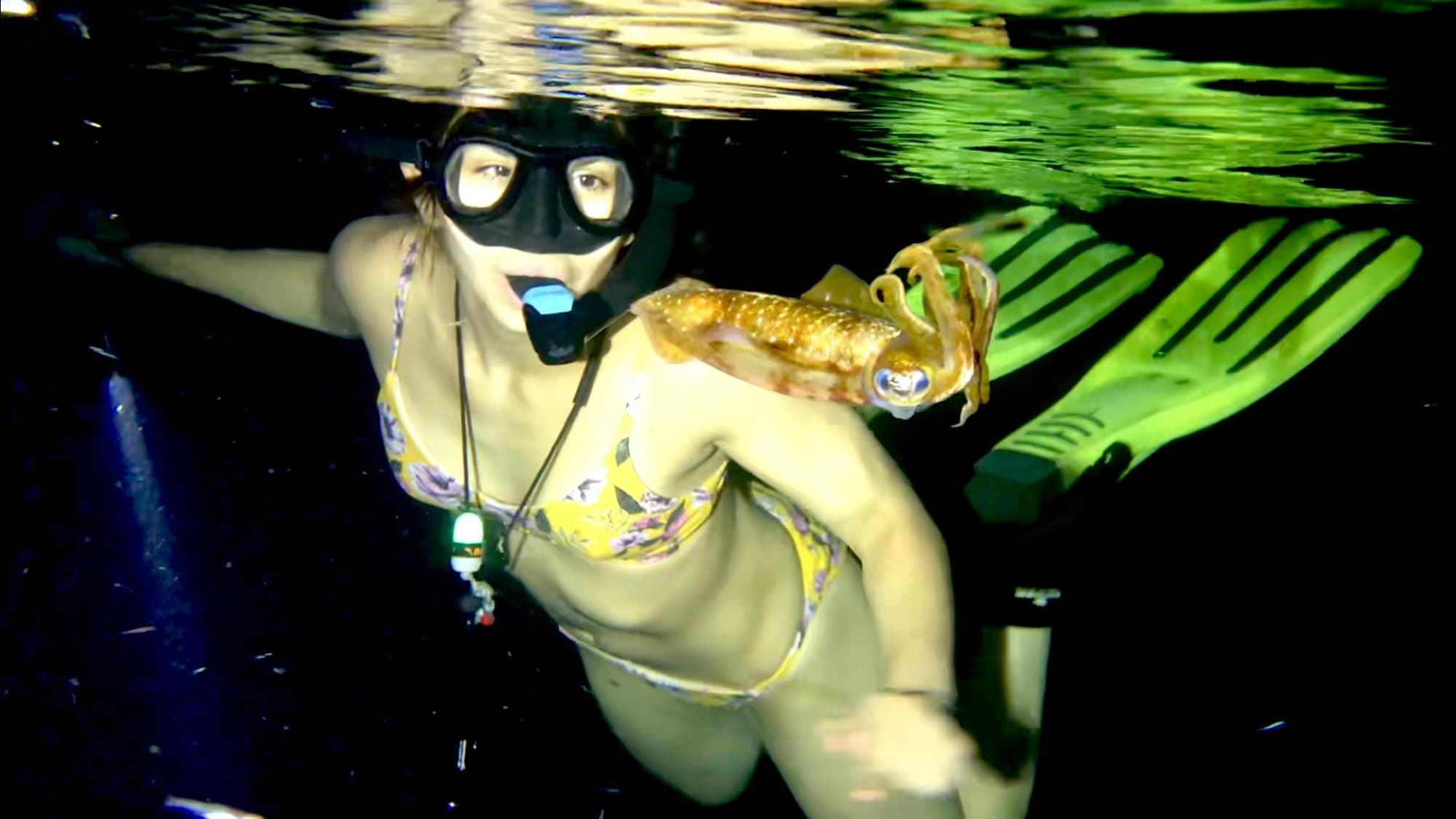 Night Snorkel Adventure with Cozumel Adventure Planet