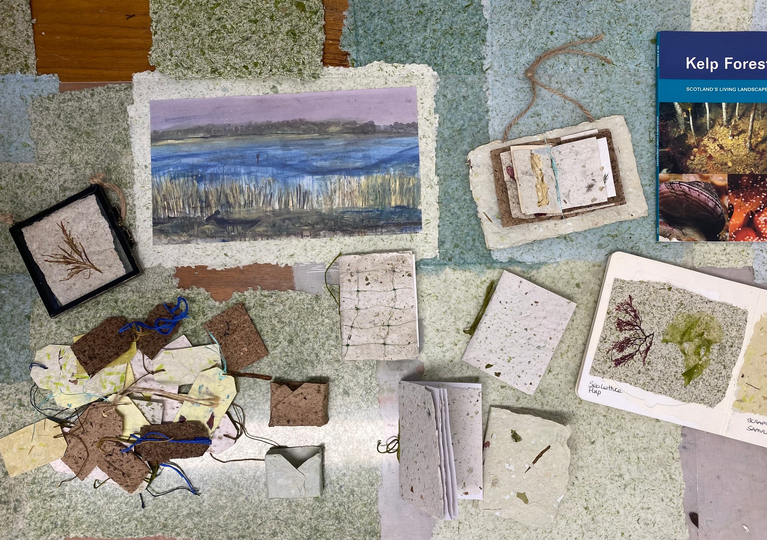 Water-Activities & Fife Seaweed Fest: Unique Paper Crafting