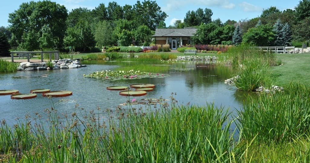 Transform Your Yard with Native Plants: A Sustainable Gardening Workshop in Ames, Iowa