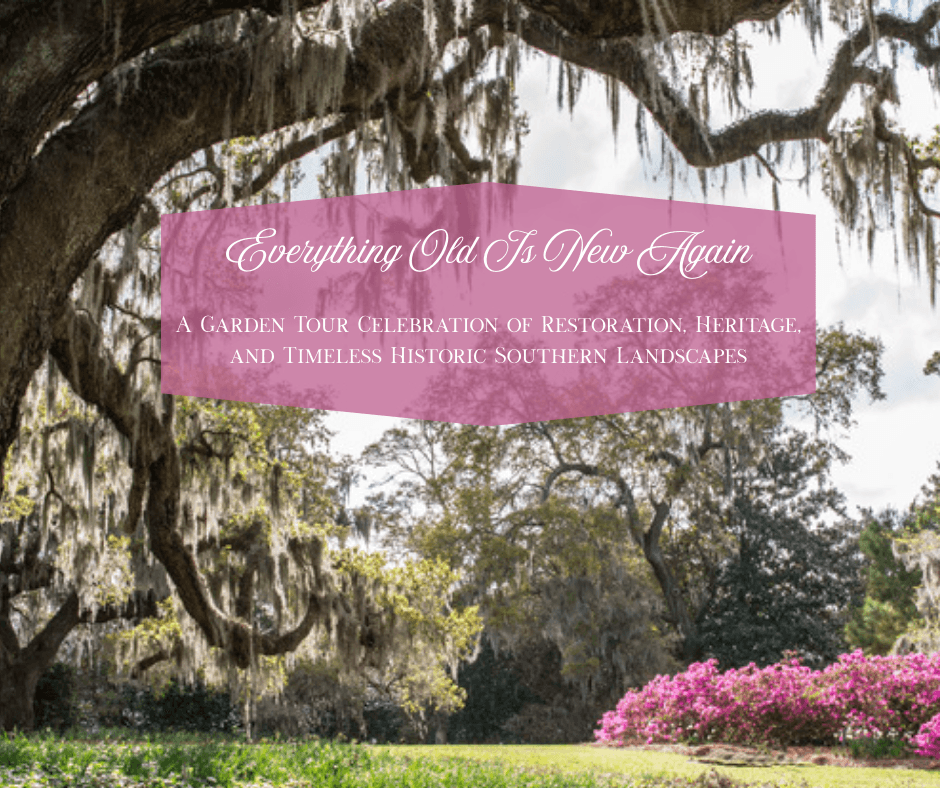Everything Old Is New Again: Natchez Garden Tour & Camellia Celebration