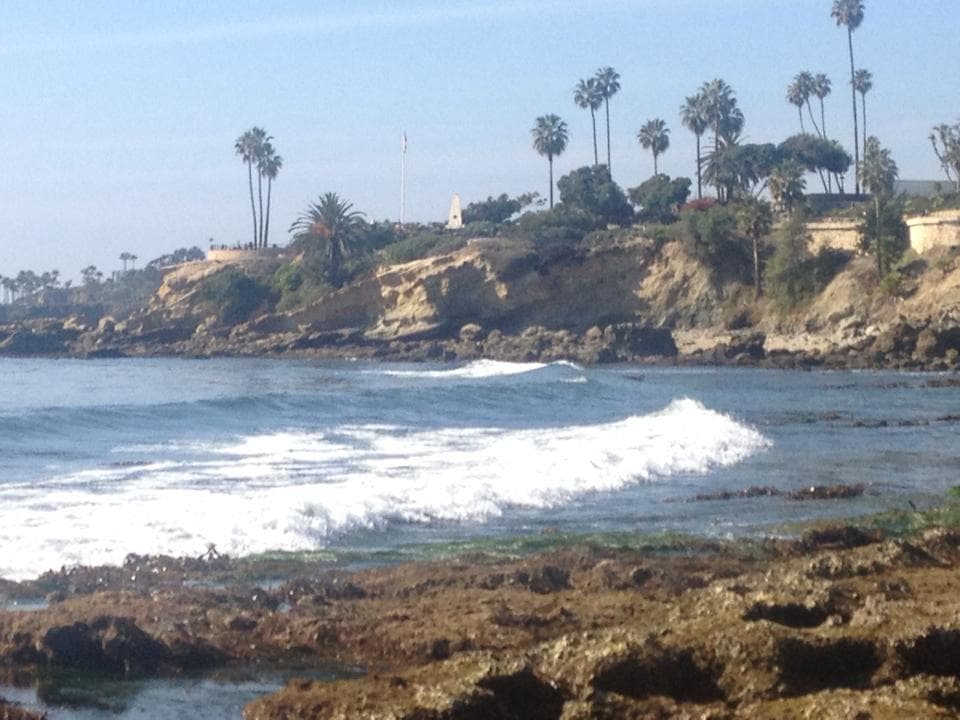 Rocky coastline with waves and palm trees, Southern California coast