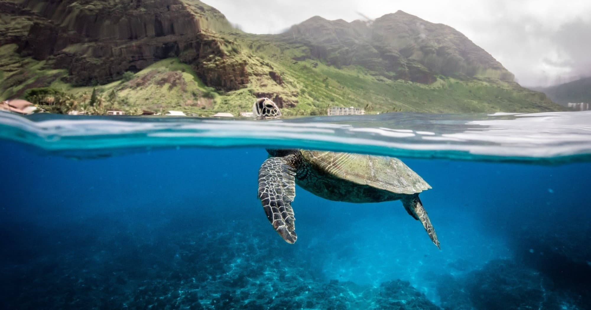 Private Ocean Charter with Hawaii Ocean Excursion in Honolulu