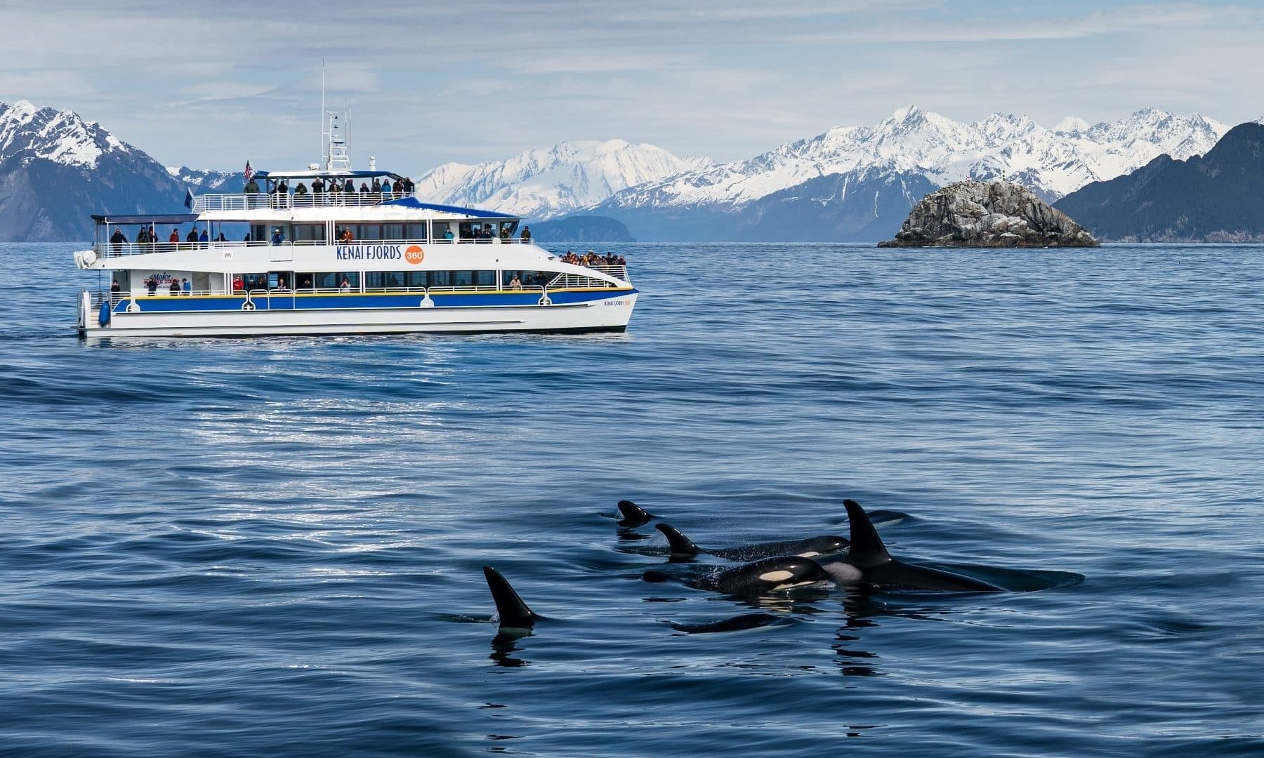 Kenai Fjords Wildlife Cruise in Seward, Alaska