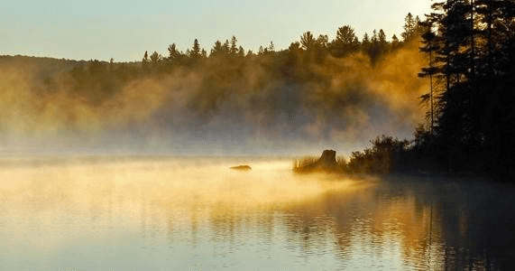 10-Day Gear Rentals for Algonquin Park Adventures