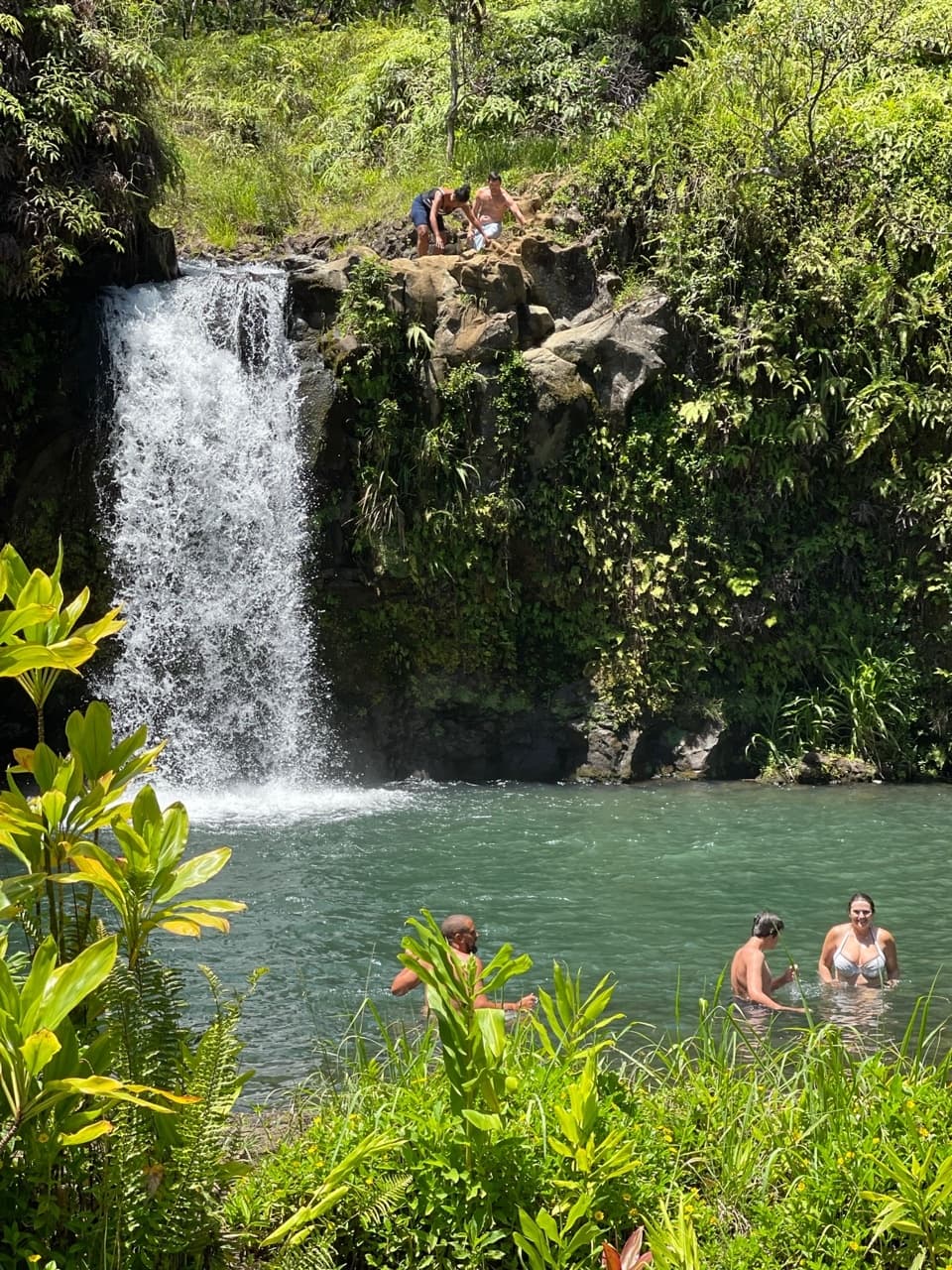 Road to Hana Day Trip with Waterfalls & Beaches in Maui