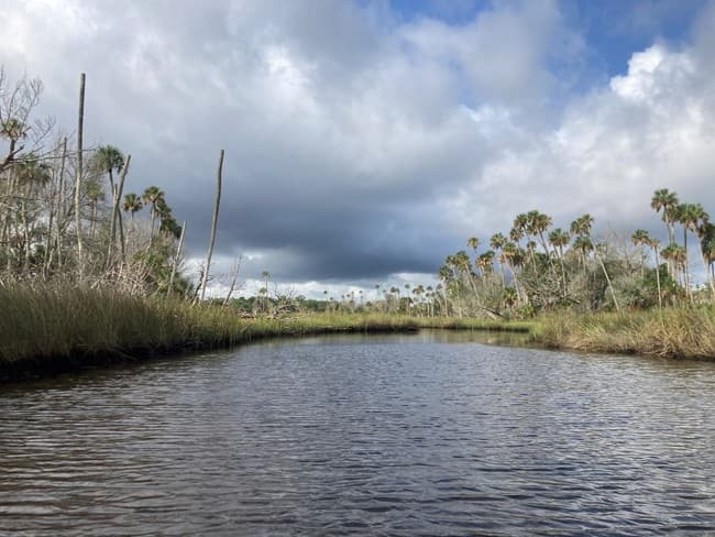 Fishing Guided Kayak Tour with Crystal River Preserve Adventures in Homosassa Springs