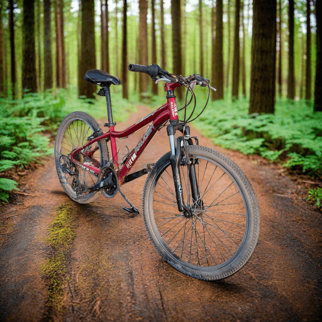 Family Mountain Biking with Olympic Outdoor Center in Port Gamble