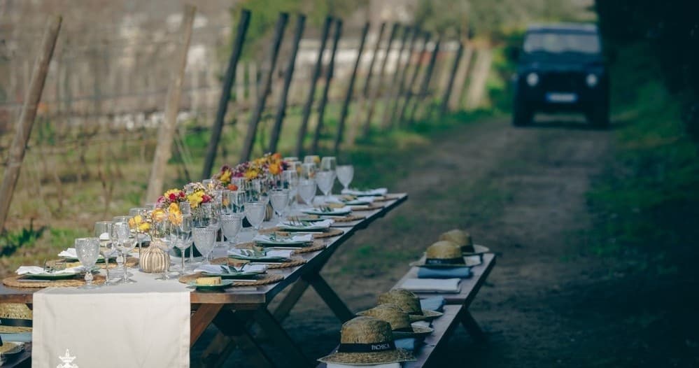 Immersive Douro Wine Journey with Farm Experiences & Tours