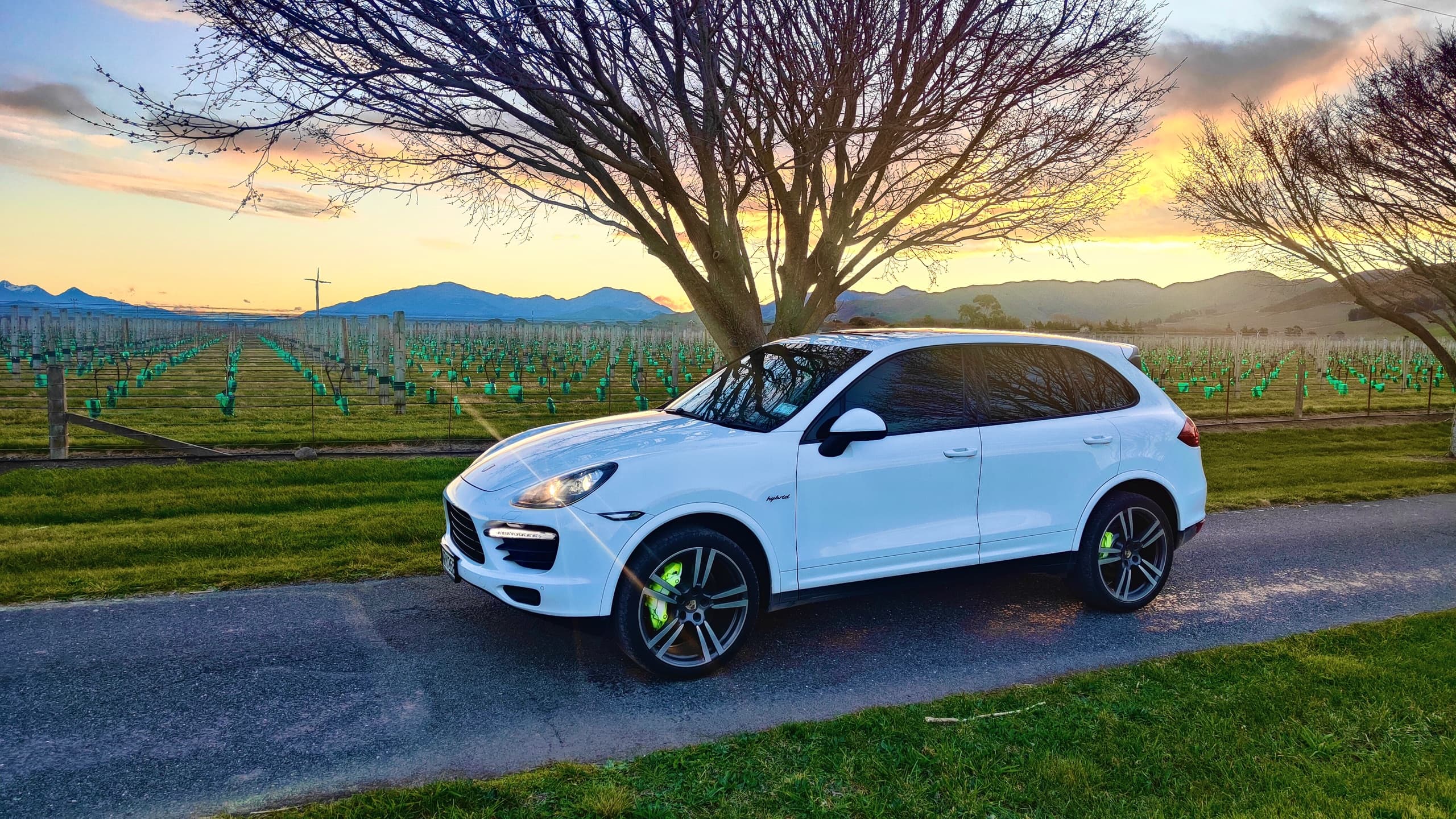 Porsche Cayenne S Rental in Marlborough: Self-Drive Luxury Through Vineyards & Coast photo 2