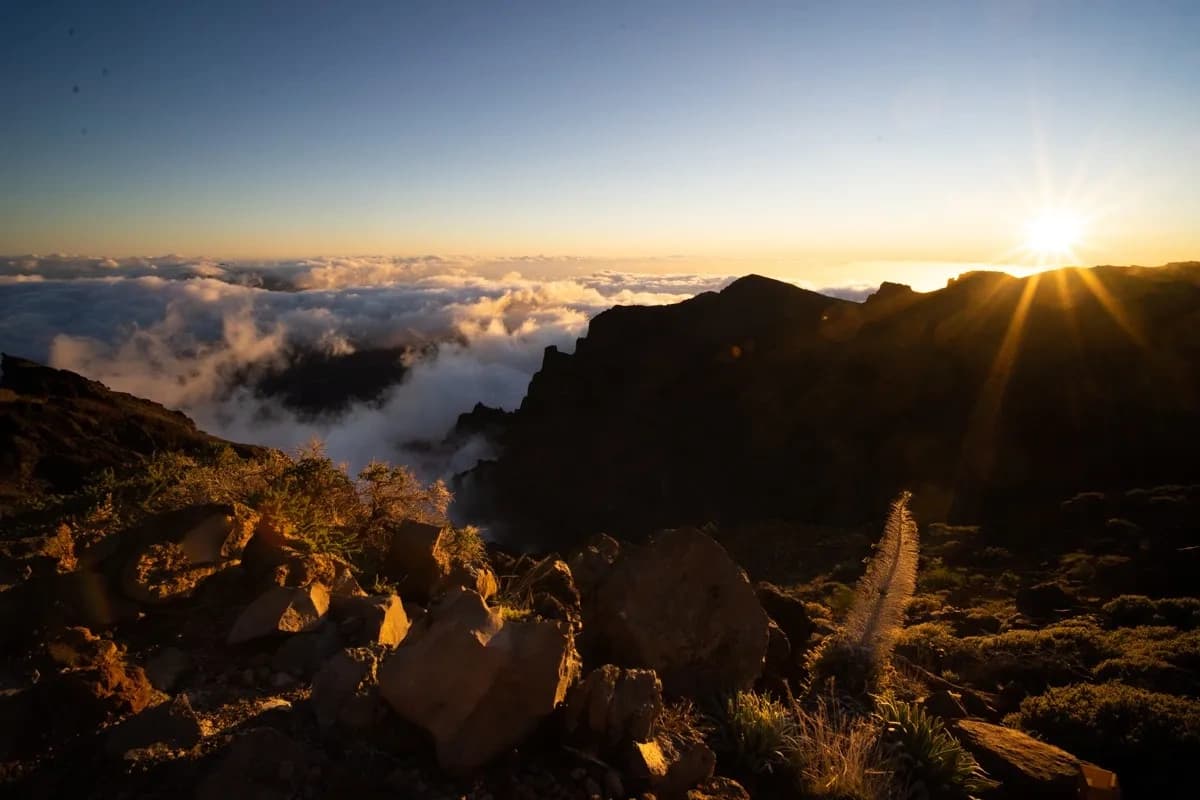 Sunset & Stars Tour with Taxisenlapalma in La Palma