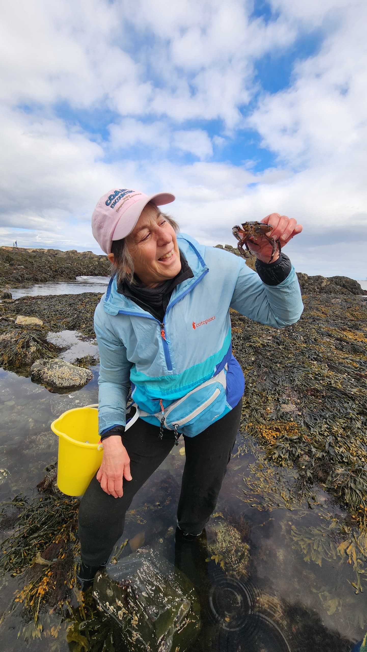 Coastal Maine Hike and Bike fleet