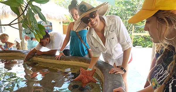 Aquarium Day Tour in Florida Keys with Up The Keys