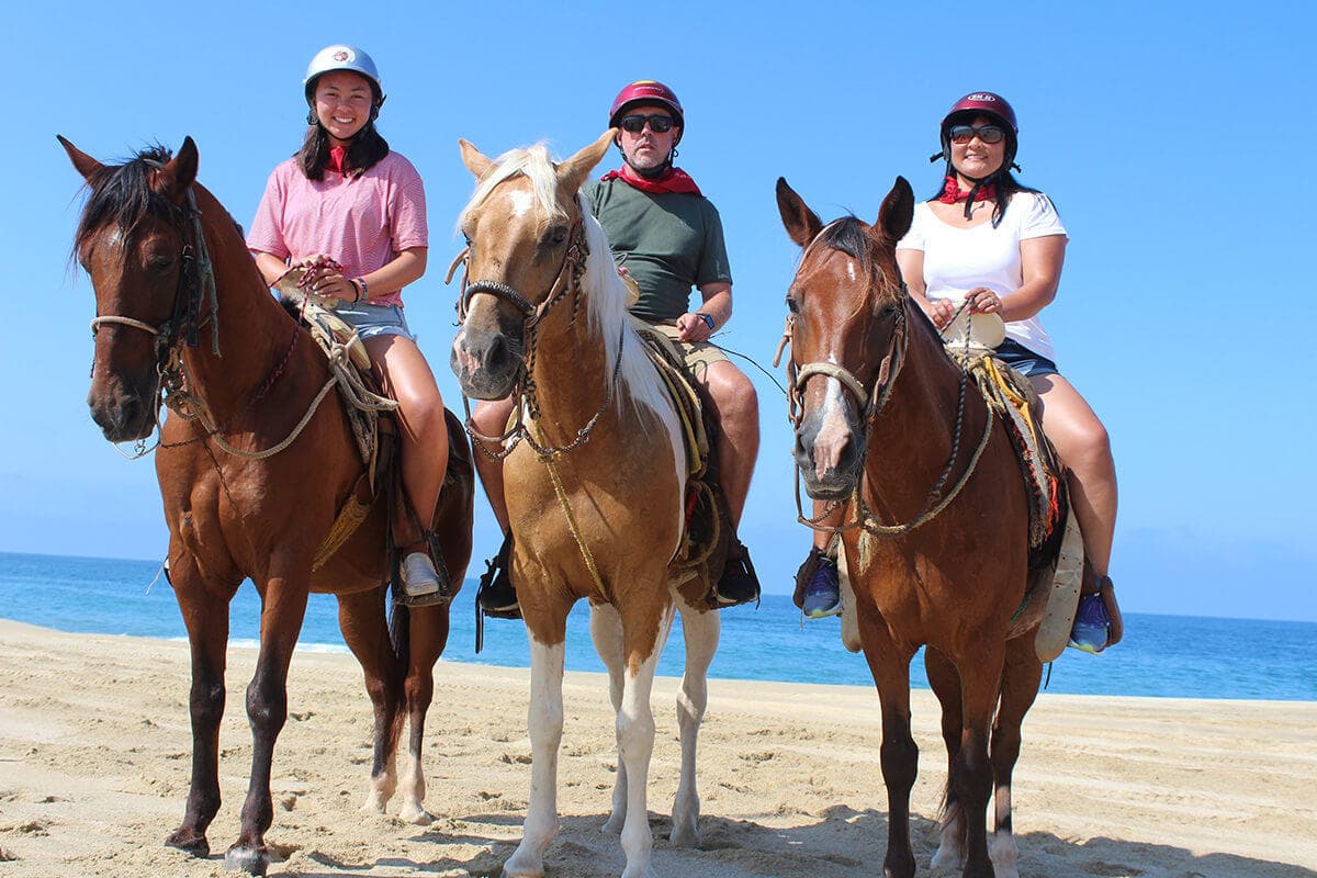 Land Adventures: Horseback Riding in Cabo San Lucas