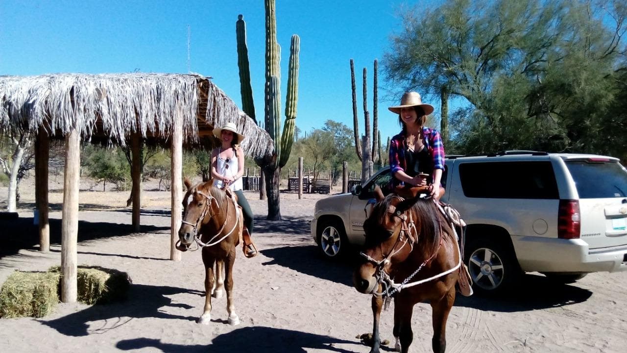 Land Adventures with Wild Loreto Tours in Baja