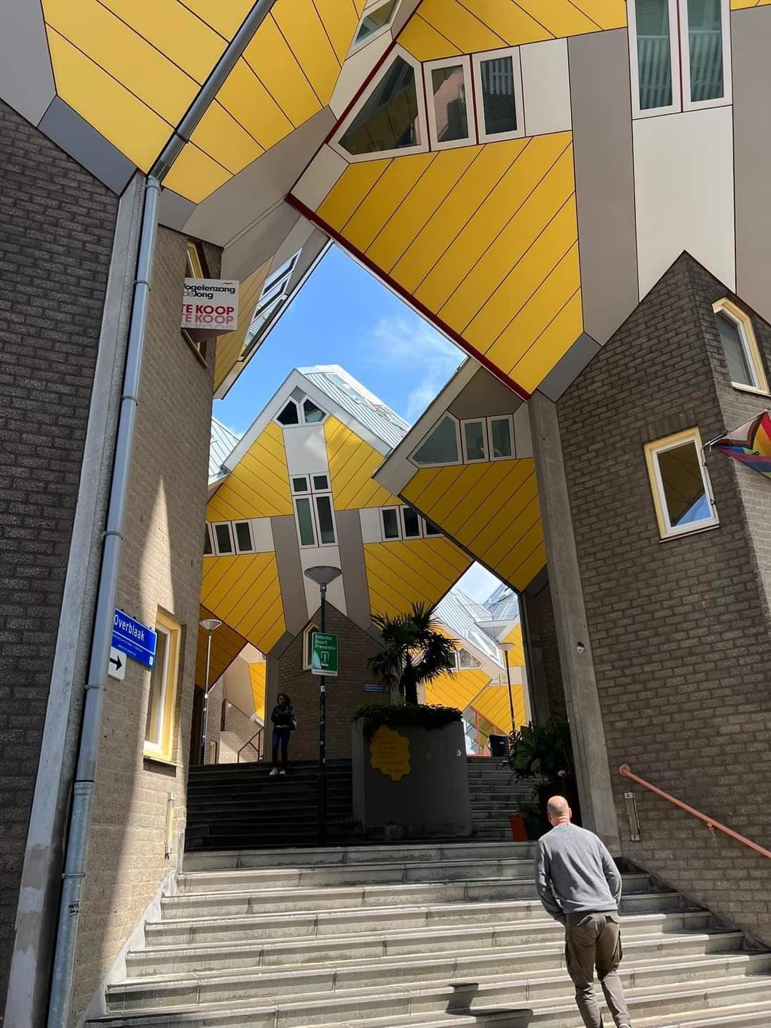 Delft + Rotterdam Private Tour with Discover Delft