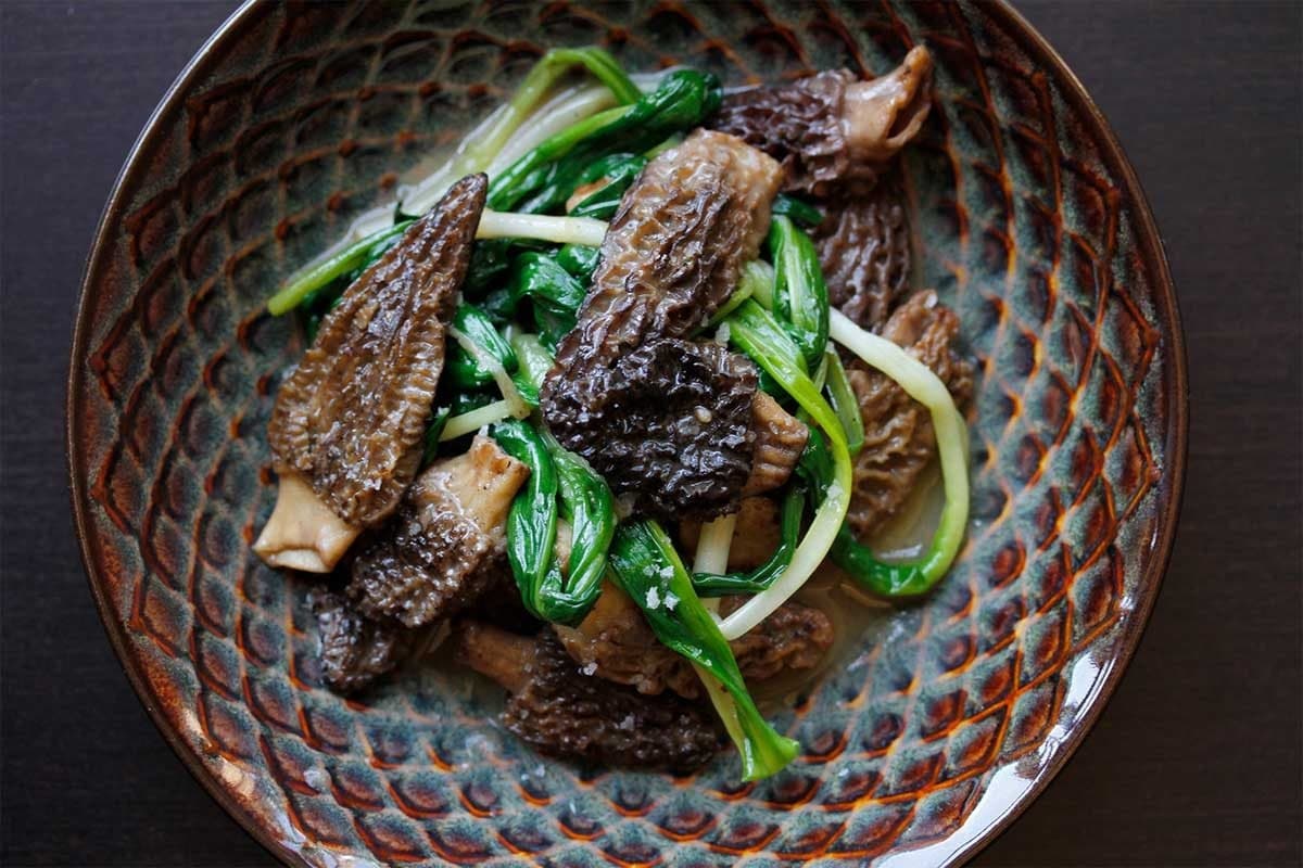 Morel Mushroom Feast: Secret Spring Foraged Dinner in Mount Pleasant Vancouver