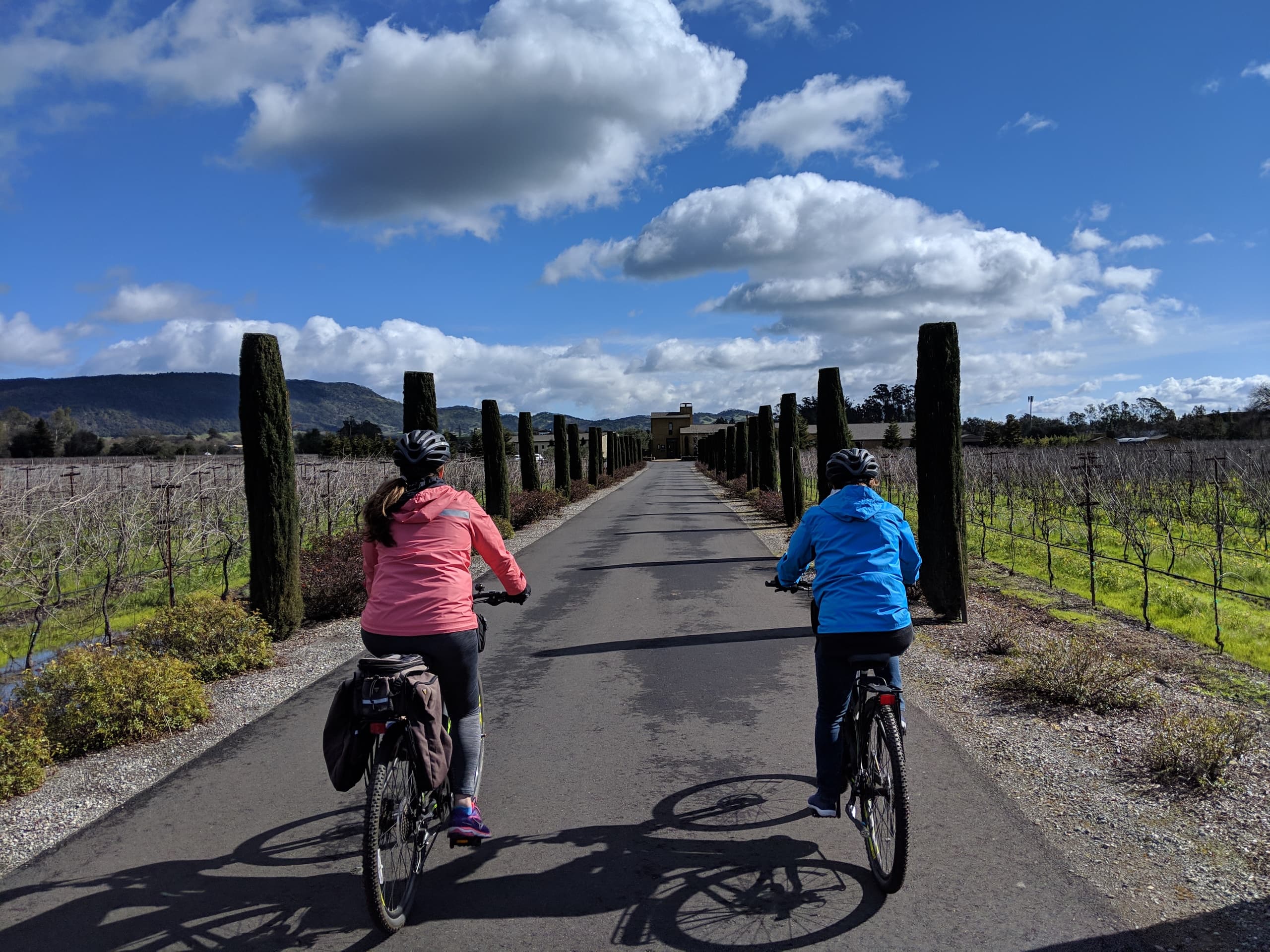 Private Sonoma Bike Tour: Explore Wine Country by Bike