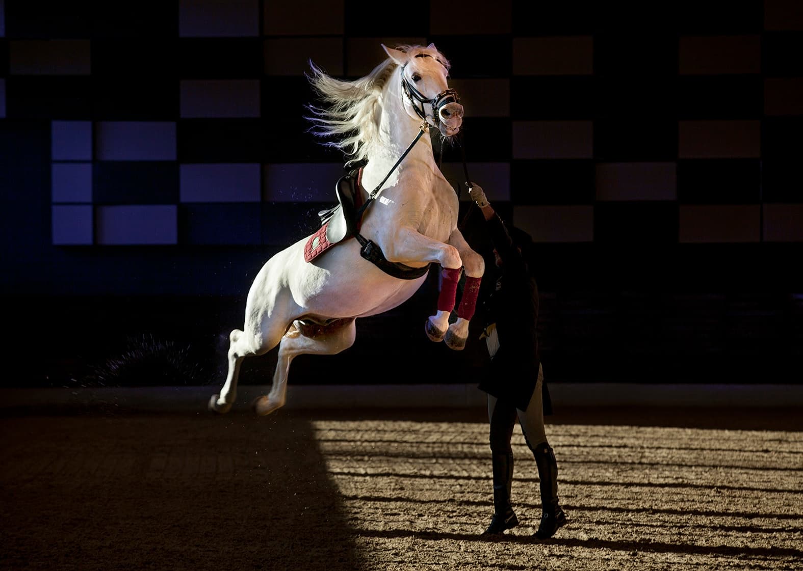 Horseback Equestrian Show at Lipica Estate