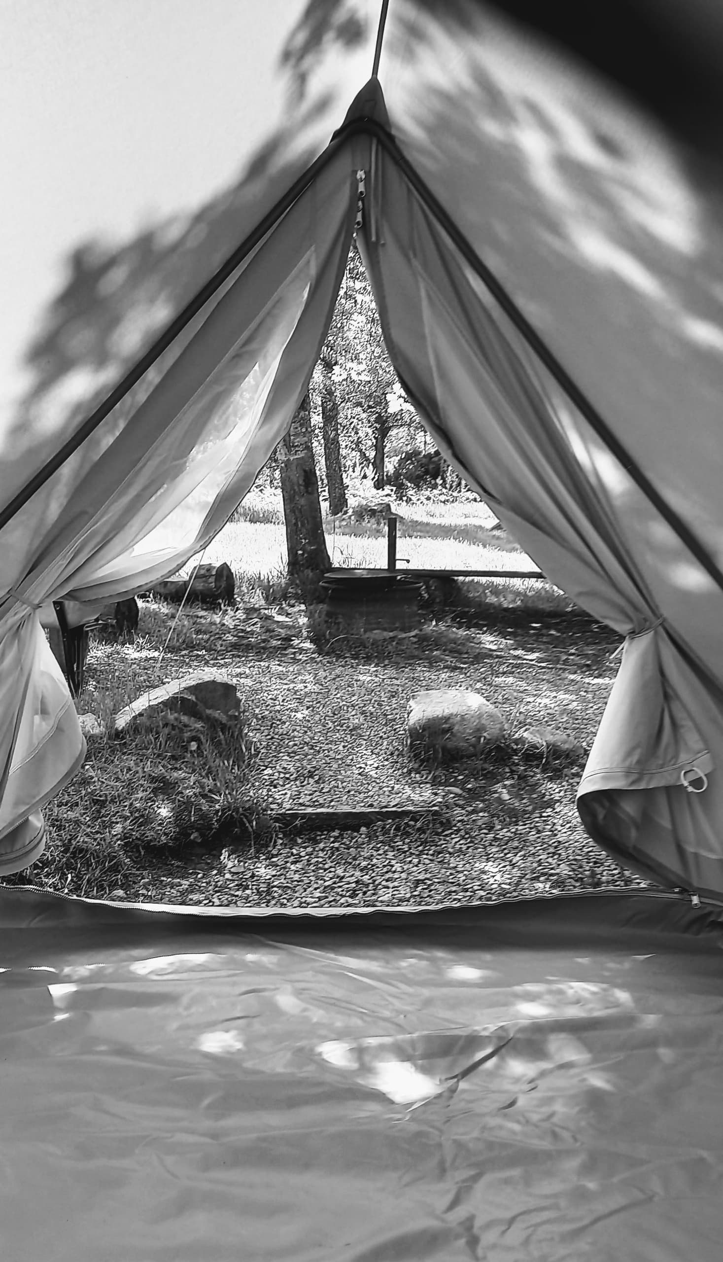 Wild Camping & Glamping at ACE Hideaways: Birch Woodland Escape