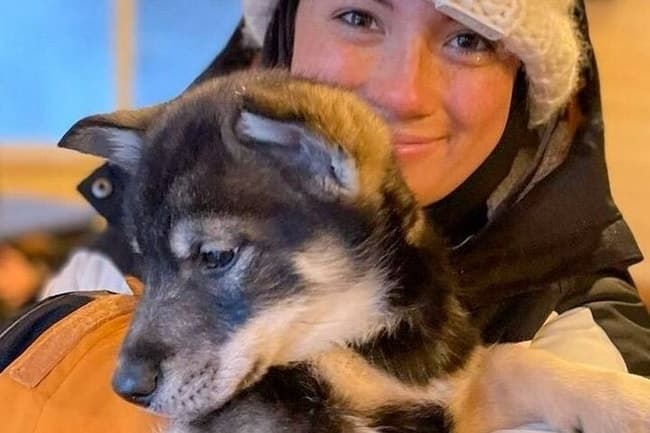 Run with the Pack: Private Dog Sledding & Animal Farm Adventure from Anchorage