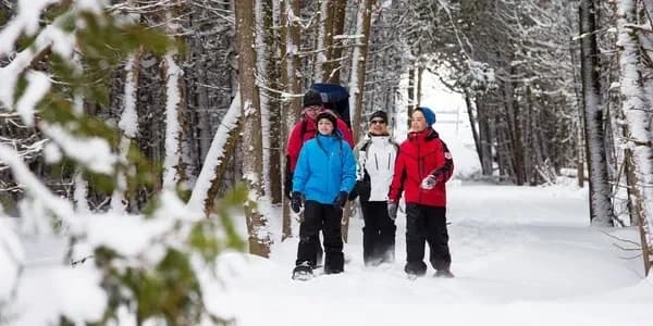 Explore Rocky Mountain National Park on a Family-Friendly Winter Snowshoe Hike