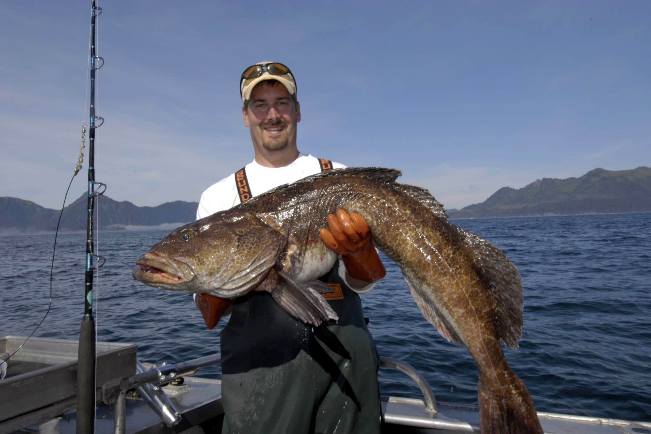 Angler holding large Pacific cod aboard fishing boat in Alaska