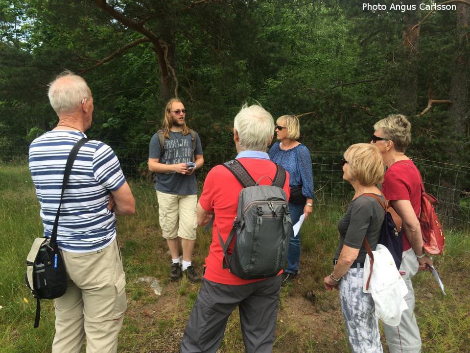 Swedish Art & Design Tour | Sweden History Tours
