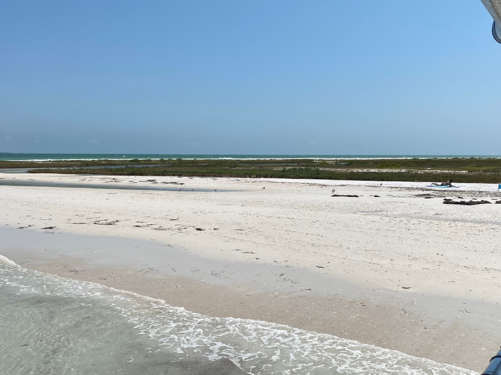 Island Time Tour by Odyssey Cruises in Tarpon Springs