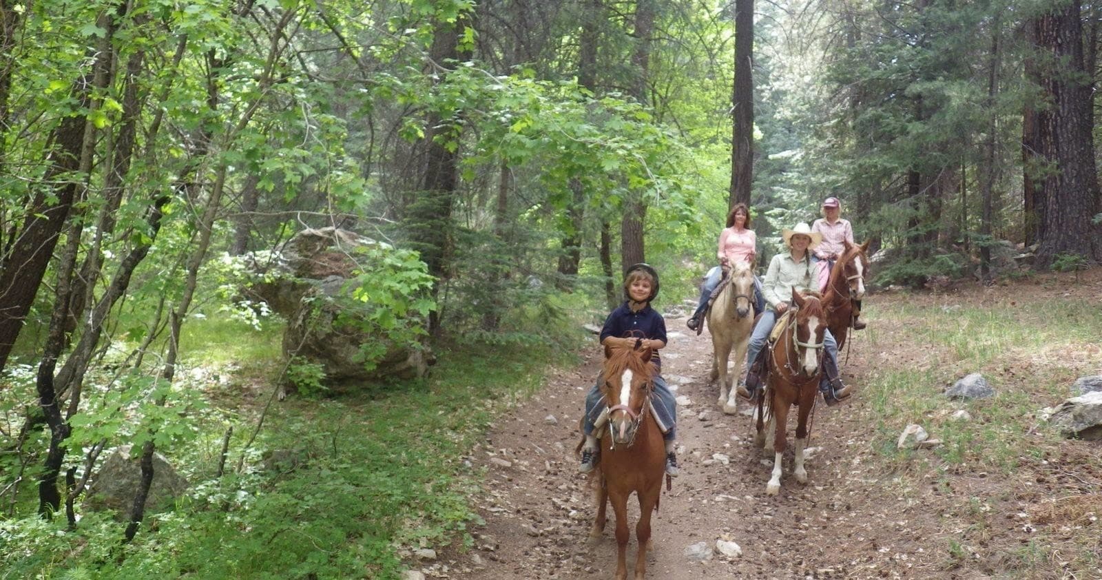 Group horseback riding on shaded forest trail through pines