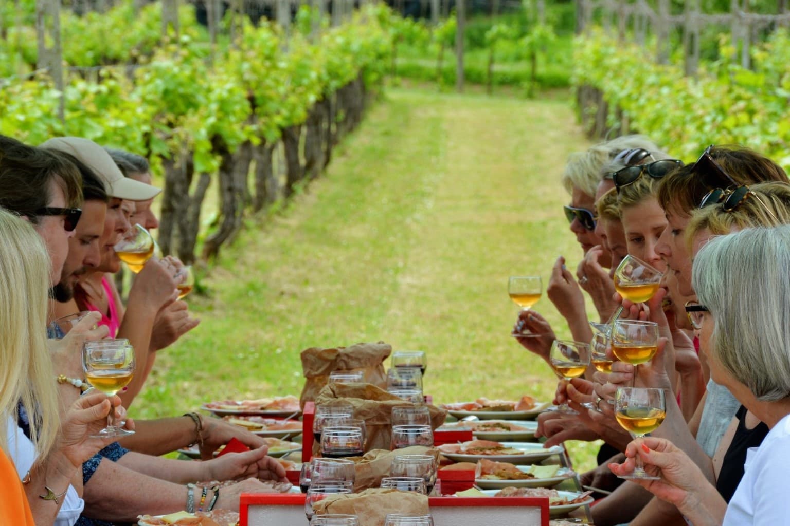 Outdoor Adventures in Lucca: E-Bike & Wine Experience