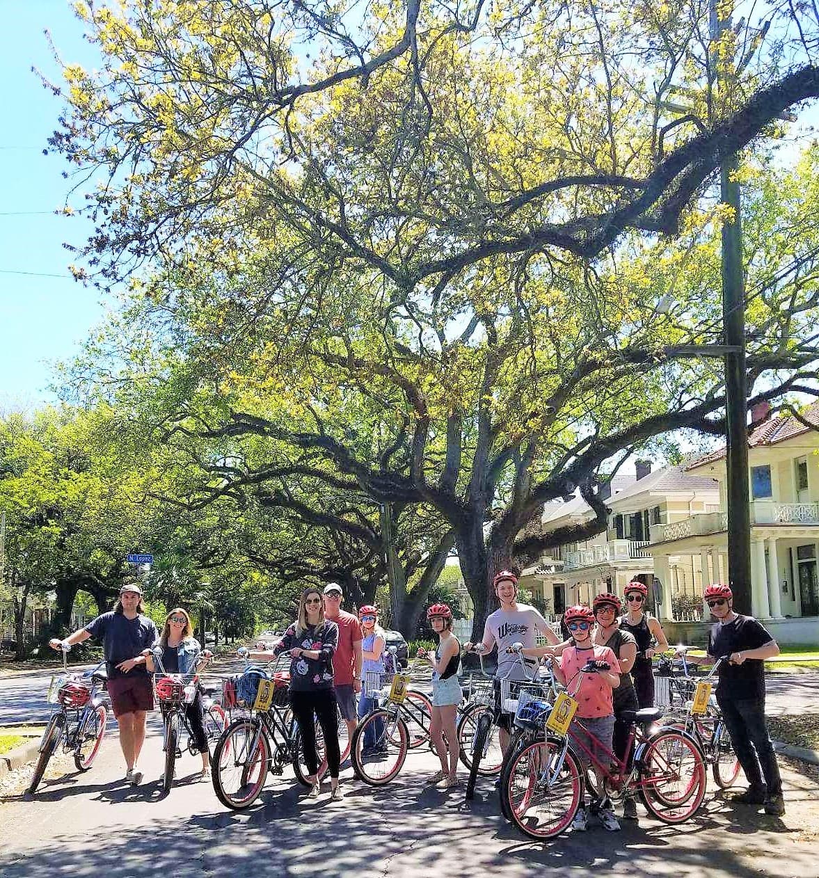 Large group on guided bike tour under moss-draped oak trees