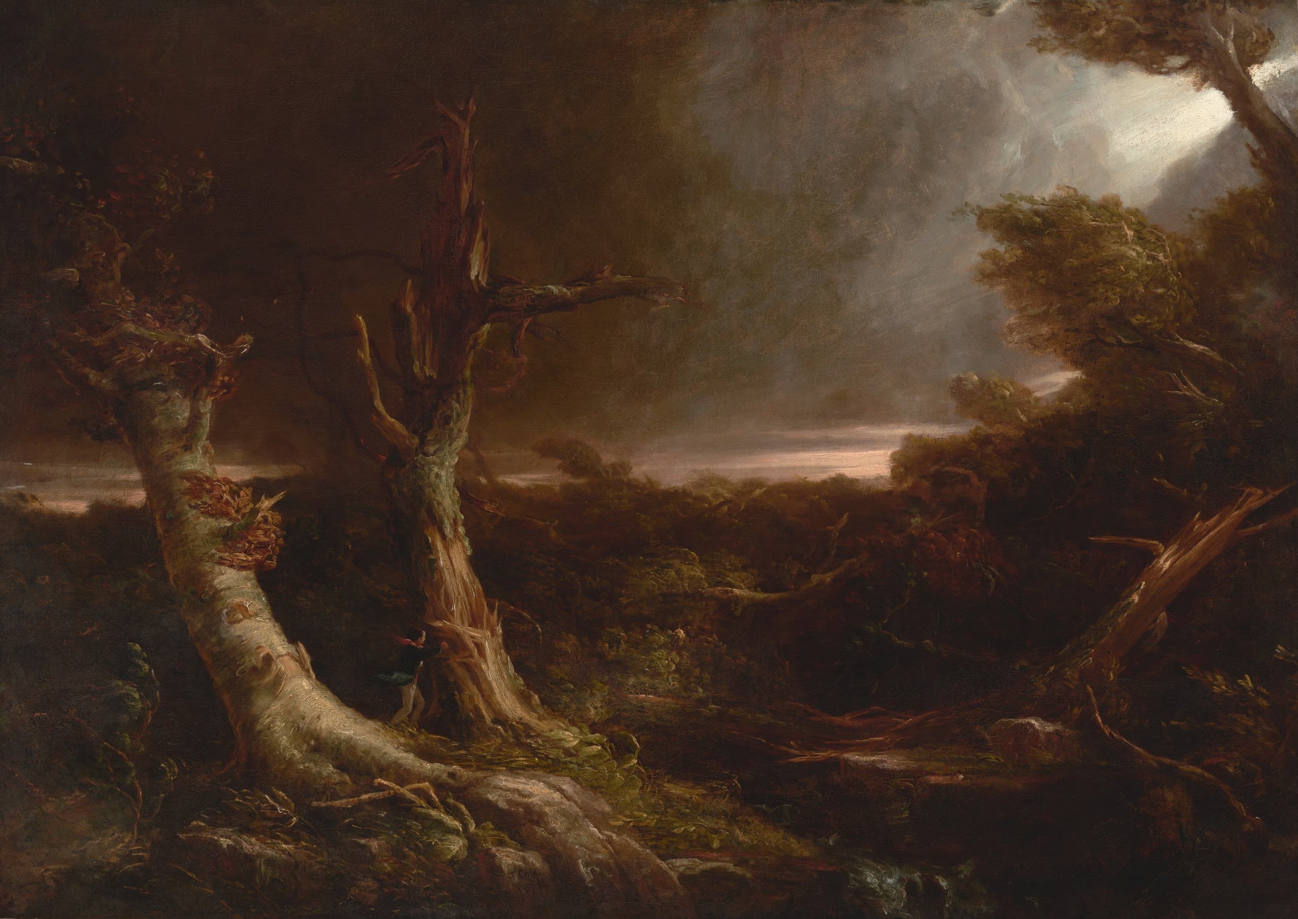 Thomas Cole and American Wilderness: Sunday Salon with William L. Coleman