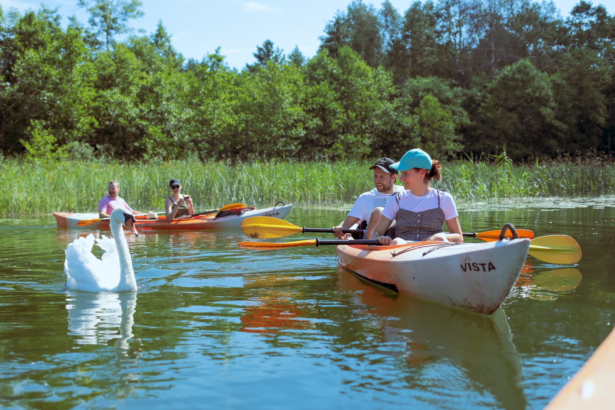 Group kayaking in reed-filled river marsh, paddling together